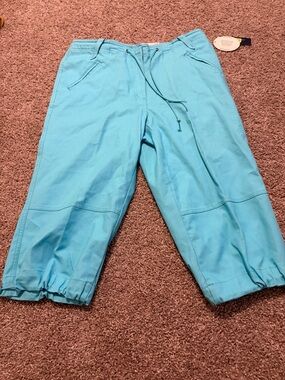Westbound Petites Blue Turquoise Capris Size 12p NWT